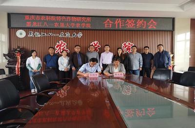 南北攜手筑種業(yè)新高地 農(nóng)學院與重慶市農(nóng)科院特色作物研究所深化合作，共促重慶特色作物技術升級